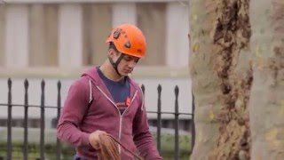 Preservation of an important plane tree in Bristol  Arborista [upl. by Ennaitsirhc]