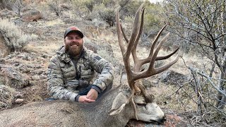 Droppers Get You Dropped Devin Archibald  Nevada Mule Deer Hunt [upl. by Willey]