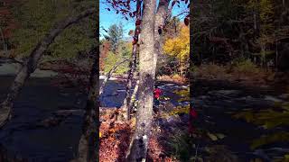 Breathtaking Fall Views shorts muskoka [upl. by Etteloiv]