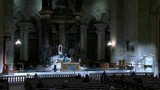 Cathedral of Saint Paul Live Stream  Mass 11142024 [upl. by Cardon734]