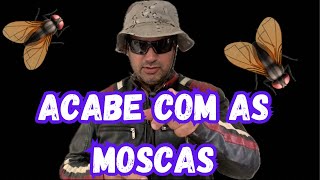 Como eliminar moscas  Eliminado moscas invasoras em casa moscas [upl. by Aelaza]