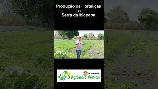 Produção de hortaliças orgânicas na Serra da Ibiapaba Ceará [upl. by Labana613]