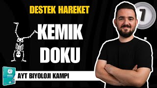 AYT Biyoloji Kampı  7 GÜN  Kemik Doku  yks2025 [upl. by Skcirdnek]