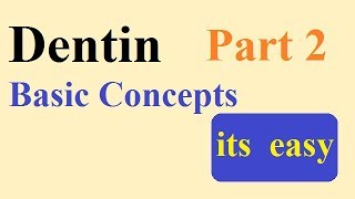 Dentin  part 2 BASIC CONCEPTS [upl. by Longo]