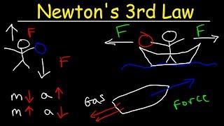 Newtons Third Law of Motion  Action and Reaction Forces [upl. by Nagem]