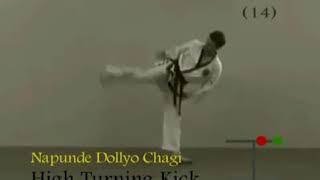 ChoongMoo Taekwondo pattern easy to learn with Master Frank Murphy [upl. by Adabel932]