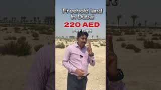 Land for sale in Dubai Emirates per square feet 220 aed [upl. by Anirdna]