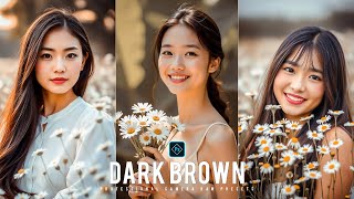 Dark Brown Preset  Free Camera Raw Presets  Color Grading Photoshop Tutorial [upl. by Trevlac]