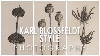 Photographing in the style of Karl Blossfeldt [upl. by Yajet]