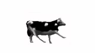 Polish Cow Full Song [upl. by Hurley]