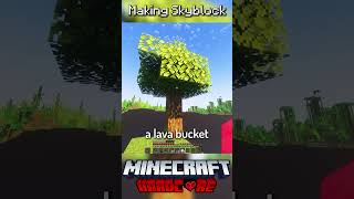 I Made Skyblock in Minecraft Hardcore 22 [upl. by Leduar]