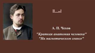 АПЧехов Юмористические рассказы quotКраткая анатомия человекаquot quotНа магнетическом сеансеquot [upl. by Havard84]