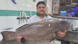 ao vivoFILÉ PEIXE BADEJO DE 35 KILOS😱‼️ [upl. by Yllim304]