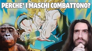 Perché i MASCHI COMBATTONO [upl. by Marduk94]