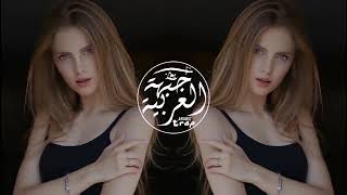 Wili Wili New Arabic Remix Song 2024 Bass Boosted ريمكس عربي جديد يحب الجميع [upl. by Charlet]