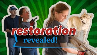 Farm House Restoration  Iowa PBS Express Transformations [upl. by Anyl]