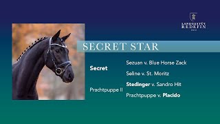 Secret Star v Secret  Stedinger Oldenburger Prämienhengst  2019 [upl. by Suoivatram]