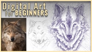 How To Draw A Wolf  Digital Art For Beginners [upl. by Maressa]