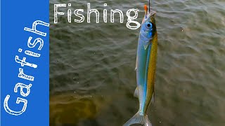 How to catch Garfish using the worlds cheapest bait [upl. by Corder939]