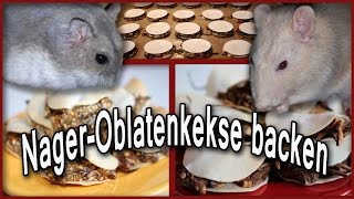 NagerOblatenkekse backen DIY [upl. by Lonne]