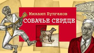 «СОБАЧЬЕ СЕРДЦЕ» МИХАИЛ БУЛГАКОВ  аудиокнига фрагмент в исполнении Бориса Плотникова [upl. by Shawnee]