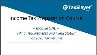 Filing Status and Filing Requirements for Tax Returns [upl. by Vona935]