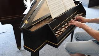 La Sarabande de Haendel sur clavecin épinette JC Neupert par JYPB [upl. by Emilia354]