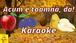 Acum e toamna da Karaoke Negativ SMic Music [upl. by Sandi672]