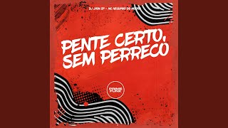 PENTE CERTO SEM PERRECO [upl. by Eutnoj]