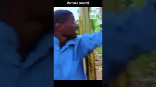 OMUKO OMUBBI ASILANIDDE MU LUSUKU vjjingo wedding vj film 2024shorts shorts shortvideo [upl. by Ahsitram254]