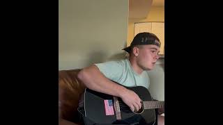 Pink Skies Cover Excerpt cover folkcountry [upl. by Keary]