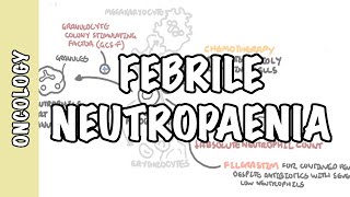 What is febrile neutropaenia neutropenia  neutrophil function pathophysiology treatment [upl. by Asteria]