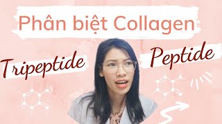 Phân biệt collagen Peptide và Tripeptide  Collagen nào tốt hơn [upl. by Sukramaj]