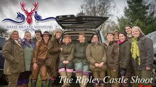 Driven Pheasant Shooting The Ripley Castle Shoot [upl. by Anirat]