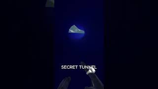 secret tunnel gorillatag memes oldtrend [upl. by Artnoed311]