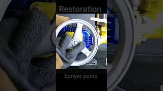 Restoration 3 pistons sprayer pump [upl. by Gomar]