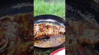 Black bream Fish fry in wild outdoor cooking fishing food asmr prawns [upl. by Atiuqat495]