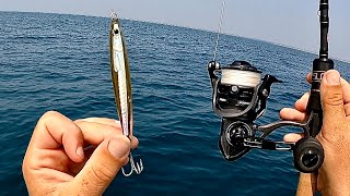 Jigging amp Trolling Along The Beach New Species [upl. by Bendix]