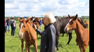 Oldenburg Summer Meeting [upl. by Nnarefinnej]