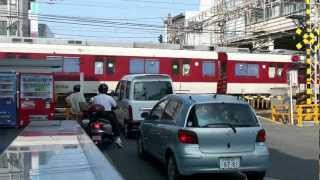 Kintetsu Takayasu Crazy Railway Crossing  experimentations [upl. by Kasey911]