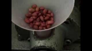 Oil extraction from peanut butter part 1 [upl. by Idisahc]