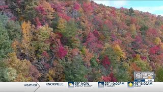 Exploring Tennessee Fall colors arrive to Tellico Plains and Cherohala Skyway [upl. by Lednyc886]