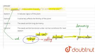 Why is vivipary an undesirable character for annual crop plants [upl. by Ahsenit]