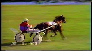 Tregaron Welsh Classic Festival 2581995 Day 1 Friday Evening UK Harness Racing [upl. by Assel]