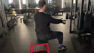 Seated Cable Row  Pronated Grip  RhomboidMid Trap Focus [upl. by Prescott]