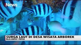 Wisata Arborek Keelokan Surga Kecil di Raja Ampat  iNews Pagi 2202 [upl. by Llennoj]