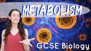 Metabolism  GCSE Biology [upl. by Ahsimek826]