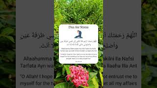 Dua for Stress [upl. by Cicenia]