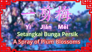 Yi Jian Mei 一剪梅  Fei Yu Ching Karaoke with Lyrics English and Indonesia Sub  Xue Hua Piao Piao [upl. by Bigner]