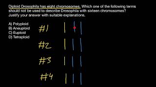 Aneuploid Euploid Polyploid Tetraploid [upl. by Etnaid]